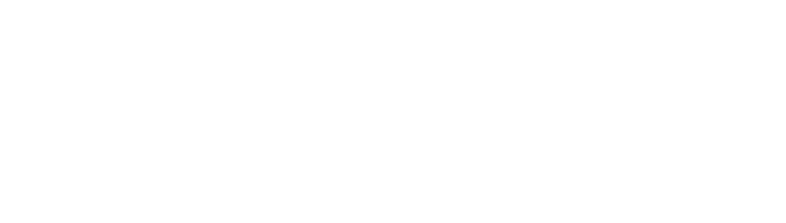 BRSIMO Logo